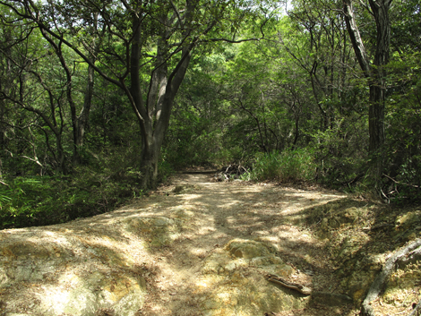 20140602hike (27)